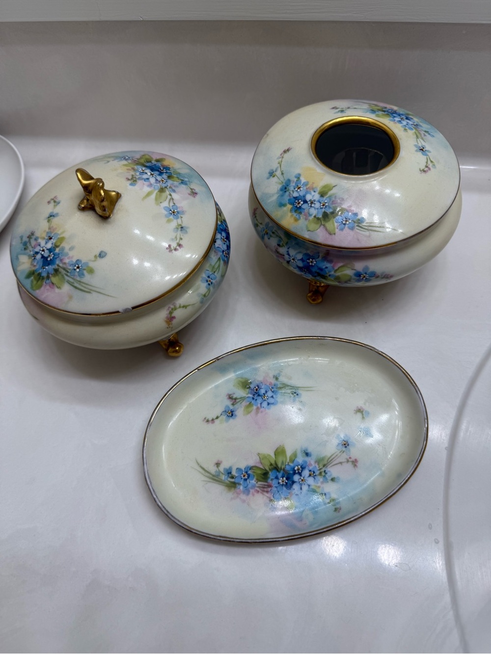 Vintage GDA Limoges France Hand Painted forget-me-not blue floral bathroom set
